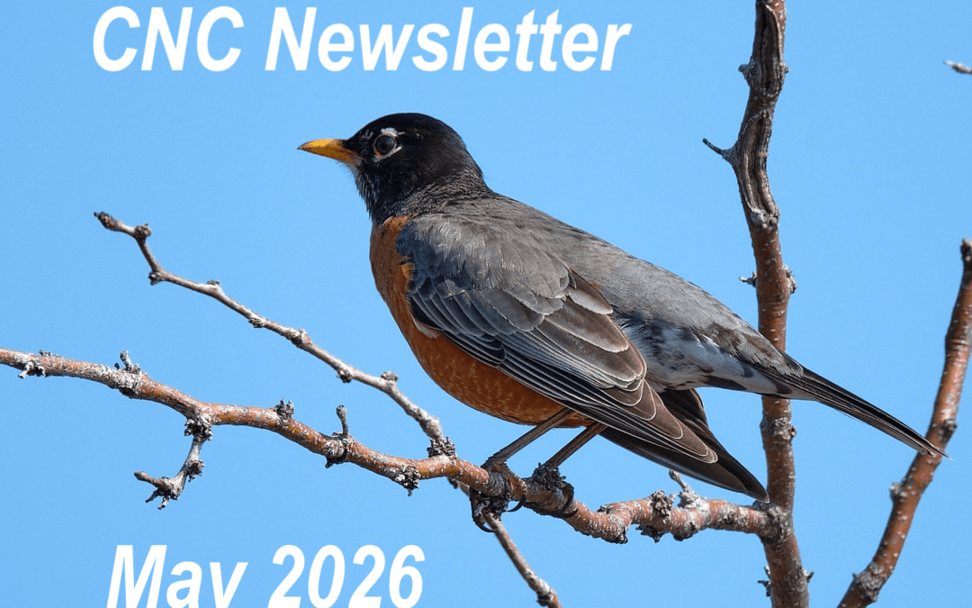 2026 May Newsletter
